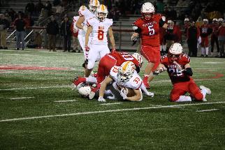 November 1 2019 IMG_7781470